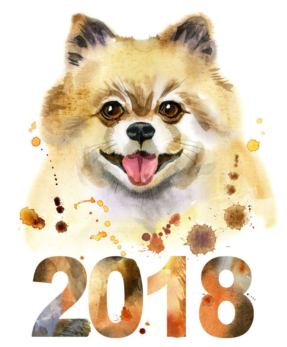 2018 год собаки